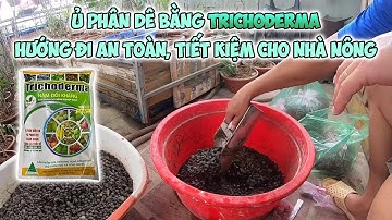 Cách ủ phân dê bằng nấm Trichoderma đơn giản đạt hiệu quả nhất
