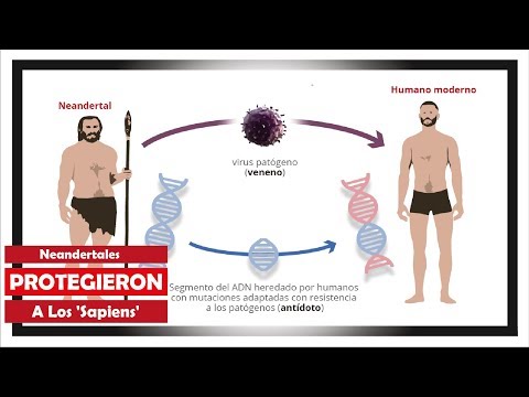 Vídeo: ¿Qué Pueblos Tienen Genes Neandertales? Vista Alternativa