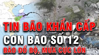 🔴TRỰC TIẾP: BÃO SỐ 12 ĐỔ BỘ GÂY MƯA CỰC LỚN