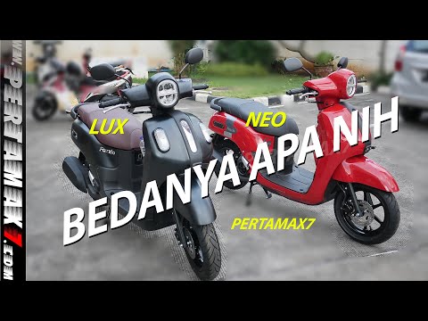 Video: Apa perbedaan antara Lux dan Lux hitam?