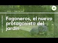 Fogonero, el nuevo protagonista en cada jardín