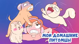 МОИ ДОМАШНИЕ ПИТОМЦЫ