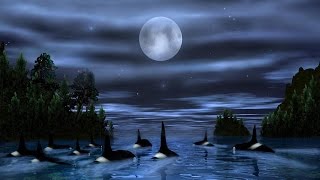 Ennio Morricone - Orca Theme chords