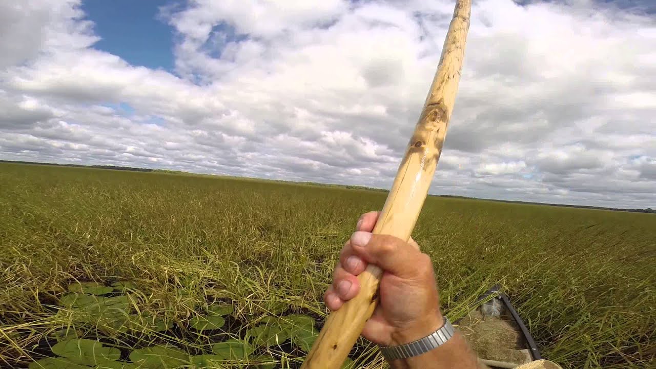 Harvesting wild rice, part 2 - YouTube