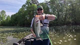 Lake Brandt Greensboro NC Fishing 4202024