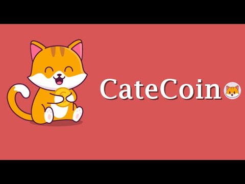   CATECOIN READY TO LAUNCH RISE OF CATS BINANCE LISTING EASY MEME COIN TO 100X