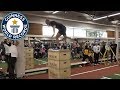 Highest standing jump with one leg - Guinness World Records