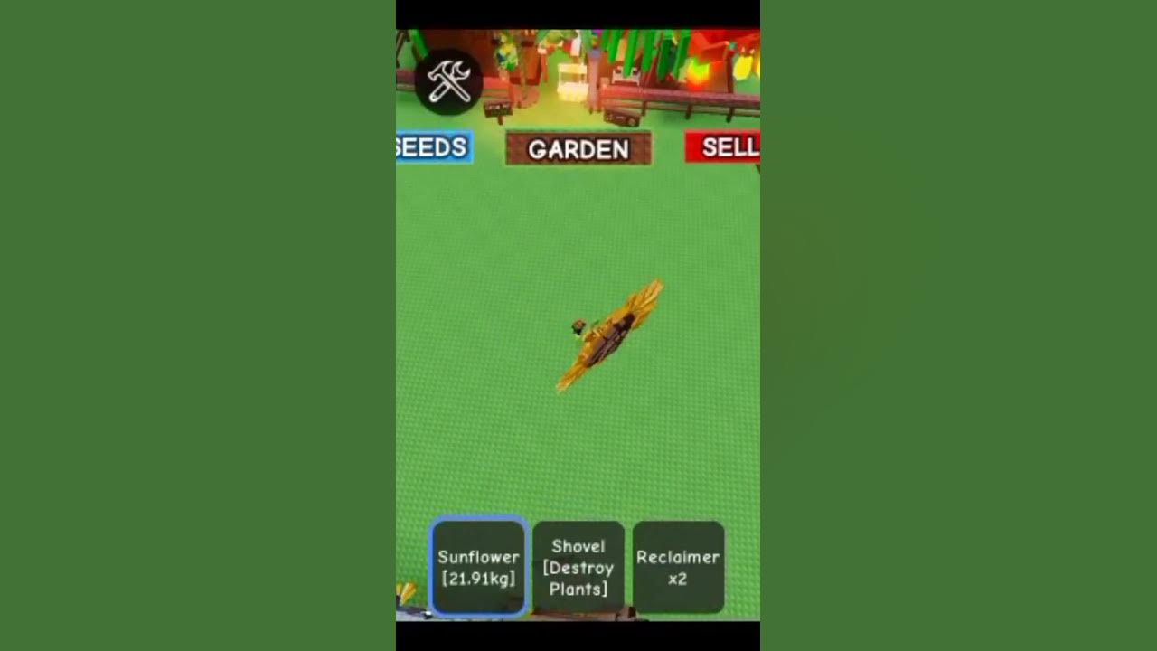 grow a garden sunflower trend 🌻 #roblox #games #gameplay #growagarden
