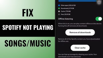 How to Fix Spotify Not Playing Songs and Music