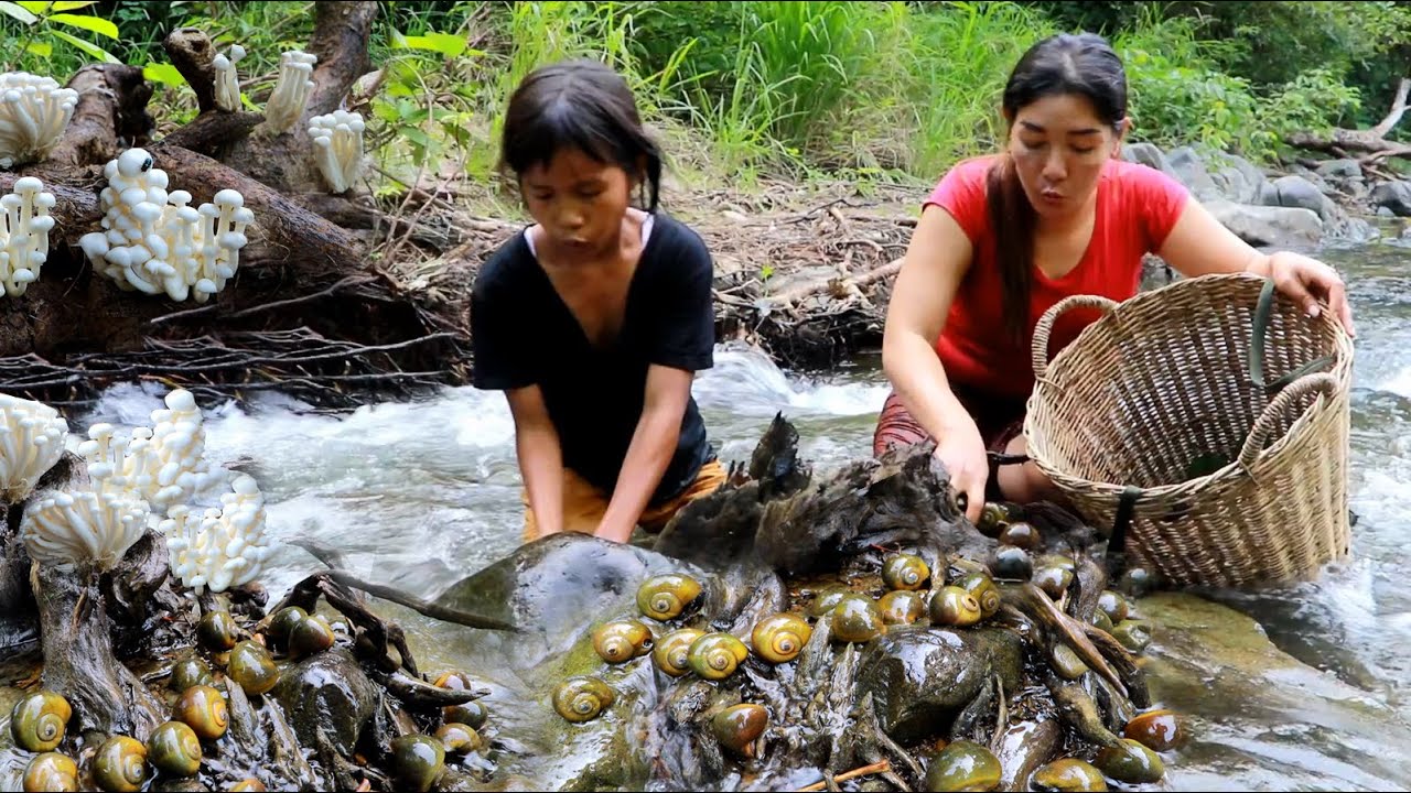 Pick snail and mushroom near river-Cooking snail curry with mushroom so delicious +5food of survival