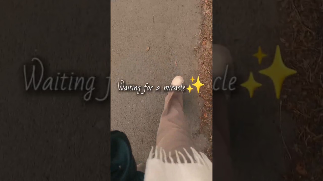 В Ожидании Нового Года