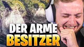 😂😱OTTER ZERSTÖRT das IPHONE KOMPLETT! - Daily Dose REAKTION  | Trymacs Stream Highlights