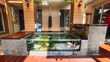 Keng บางบอน 4 : Update บ่อปลาติดกระจก 2 กรอง (กรองข้าง/ กรองบน) 3.3*1.35*0.6 ม. ระบบครบ ปลาเพียบ !!