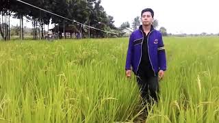 Download Lagu Citra cinta cover Pathurrahman