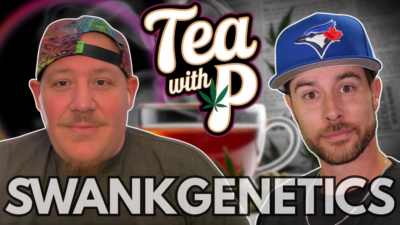 Are We Losing REAL Cannabis? A Breeder Breaks It Down | Swank