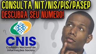 Como Consultar Nº Do Nitnispispasep Pela Internet? 2025