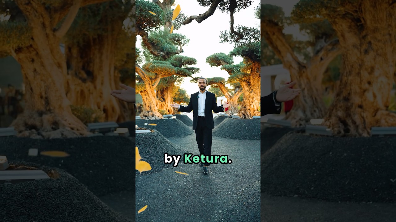 Stabio Garden by Ketura in Switzerland 