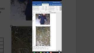 Crop an image in Microsoft Word #shorts #igcse  #igcseict #msword
