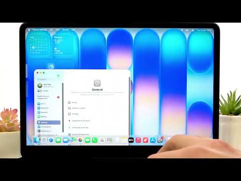 How do I use Split View and multitasking on the MacBook Neo?