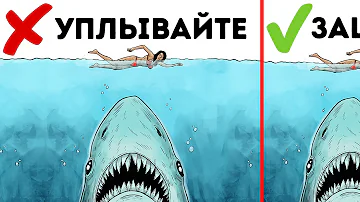10 Способов Пережить Нападение Дикого Зверя