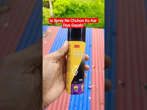 🐀 Car Ke Engine Mein Chuhe? Ye Video Zaroor Dekho!