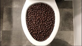 Will It Flush? - Brown M&Ms