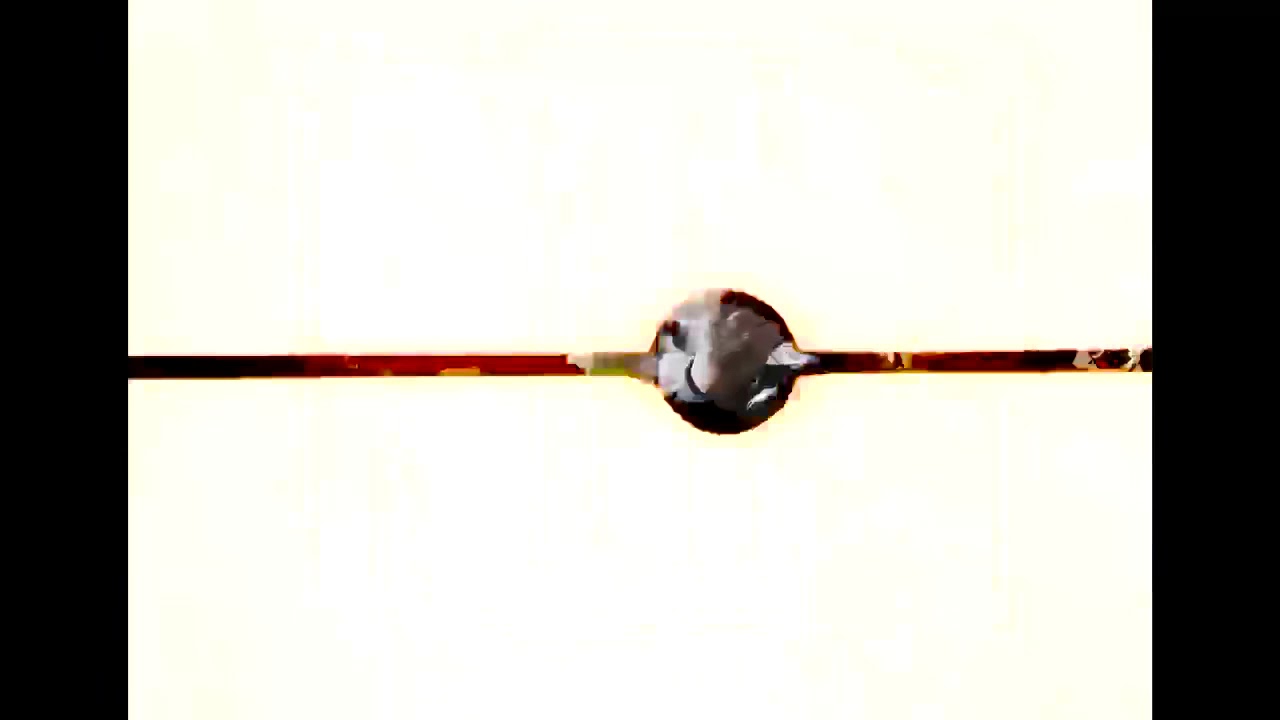 The Real Lil Ghost “ Where You From” 🎥 By @DopeColey