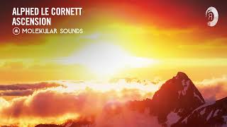 Alphed Le Cornett - Ascension [Molekular Sounds] Extended