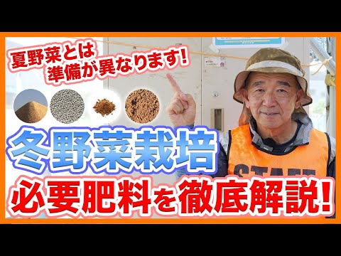 冬でも育つ野菜5選！失敗しない選び方と育て方のコツ