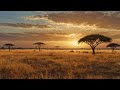 🌅 Spiritual Swahili Music Vol.16 | Healing Afro Chill BGM | Calm Kenyan Vocals