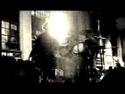 The Banner - Rattlesnakes