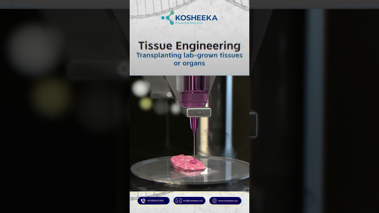 Unlocking Tissue Regeneration with Cell Therapy, Tissue Engineering, Biomaterials, and Drugs