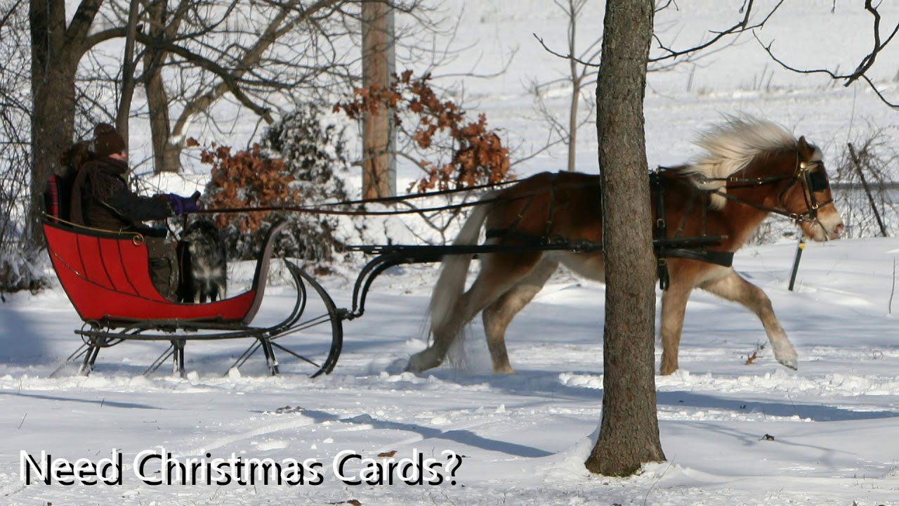 Red Portland Cutter for Sale Antique