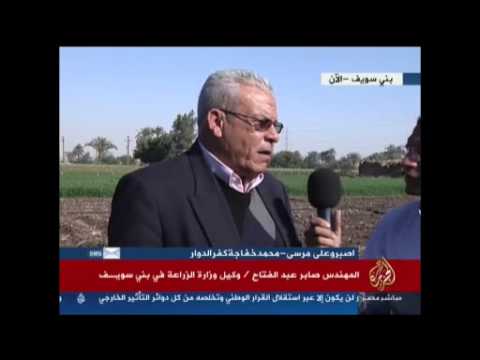 بني سويف ...مديرية الزراعة تستعد لموسم الحصاد