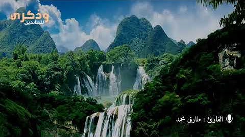 القارئ /طارق محمد /سورة /ابراهيم/ تلاوه ندية