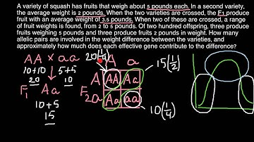 How to find how many loci control a trait? (Quantitative Genetics)