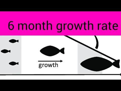 6 month cichlid growth rate - YouTube