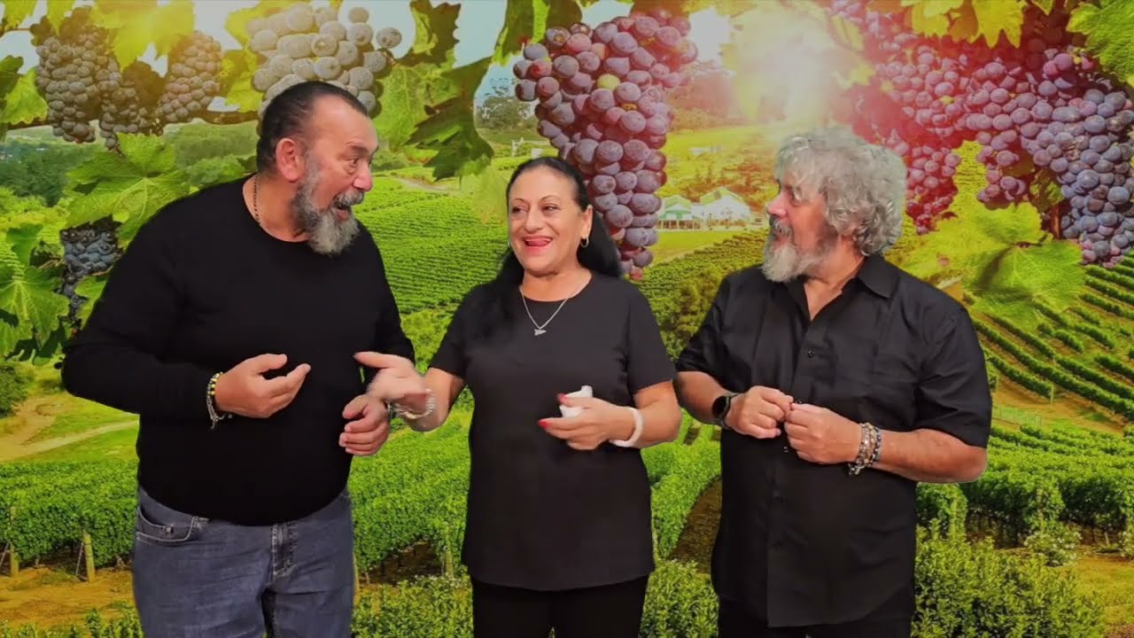 Festa SanMartino - 11 Novembre 2025