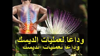 العشبة الوحيدة ل علاج الديسك والام المفاصل و خشونة الركبة دون عملية جراحية عشبة القبار فوائدها للجسم