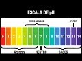 QUÉ ES EL pH Y CÓMO LO MEDIMOS (INDICADORES Y pH METROS)