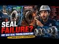 DGS Contamination Control Explained | Filters, Heaters, Coalescers &amp; DP Alarms (API 692) | 3D DECODE