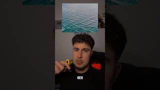 Wenn du das im MEER siehst… verschwinde SOFORT…!😳 | #meer #wasser #wellen #gefährlich #shorts