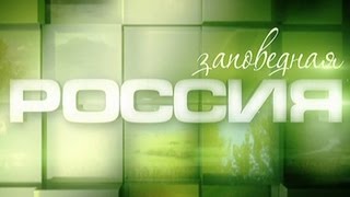 Заповедная Россия.  Таганай,  Ильменский заповедник.(Ильменский Заповедник и Национальный Парк Таганай - Альфа и Омега бесконечно разнообразной и неповторимой..., 2015-02-08T18:42:59.000Z)