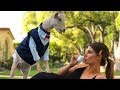 Is This Real Life? | Hannah Stocking