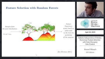 Sobolev Independence Criterion: Non-Linear Feature Selection with False Discovery Control.