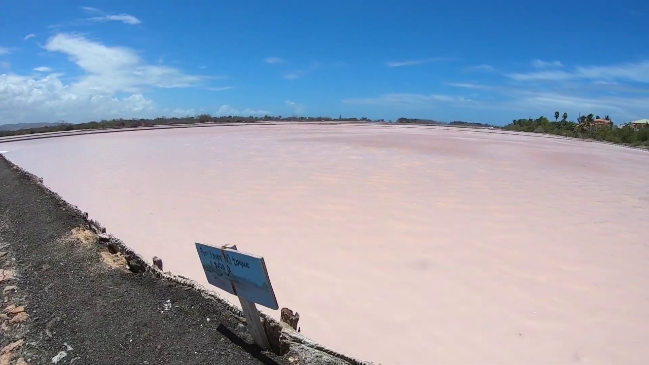 PINK WATER?! // LAS SALINAS, CABO ROJO - YouTube
