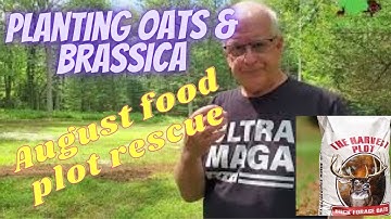 Planting Buck Forage Oats and Brassicas - Food Plot Rescue