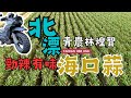 台灣正宗海口蒜 TAIWAN 368 ESG