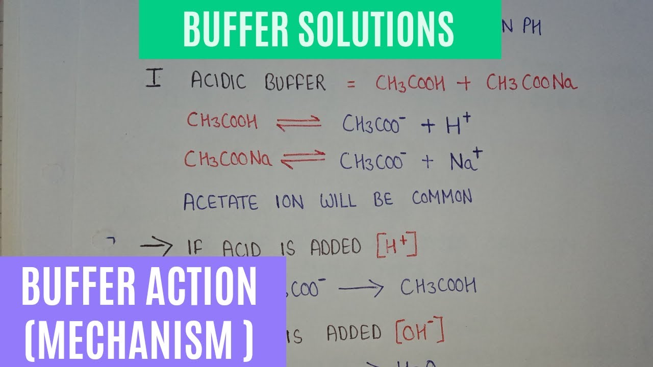 Buffer Action - Reaction Mechanism, Addition of Acid and Bases