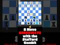 Stafford Gambit: 8 Move Checkmate Trap (as Black!)